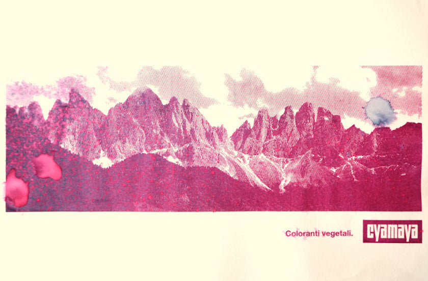 eco-friendly alternative to screen printing transforms red cabbage into organic pigment